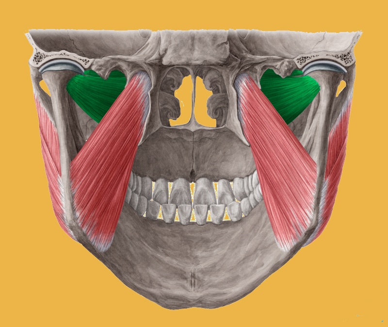 Chiropraxie et ATM-vue post