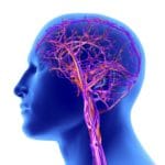 Chiropraxie: la neurologie en question (article pro)