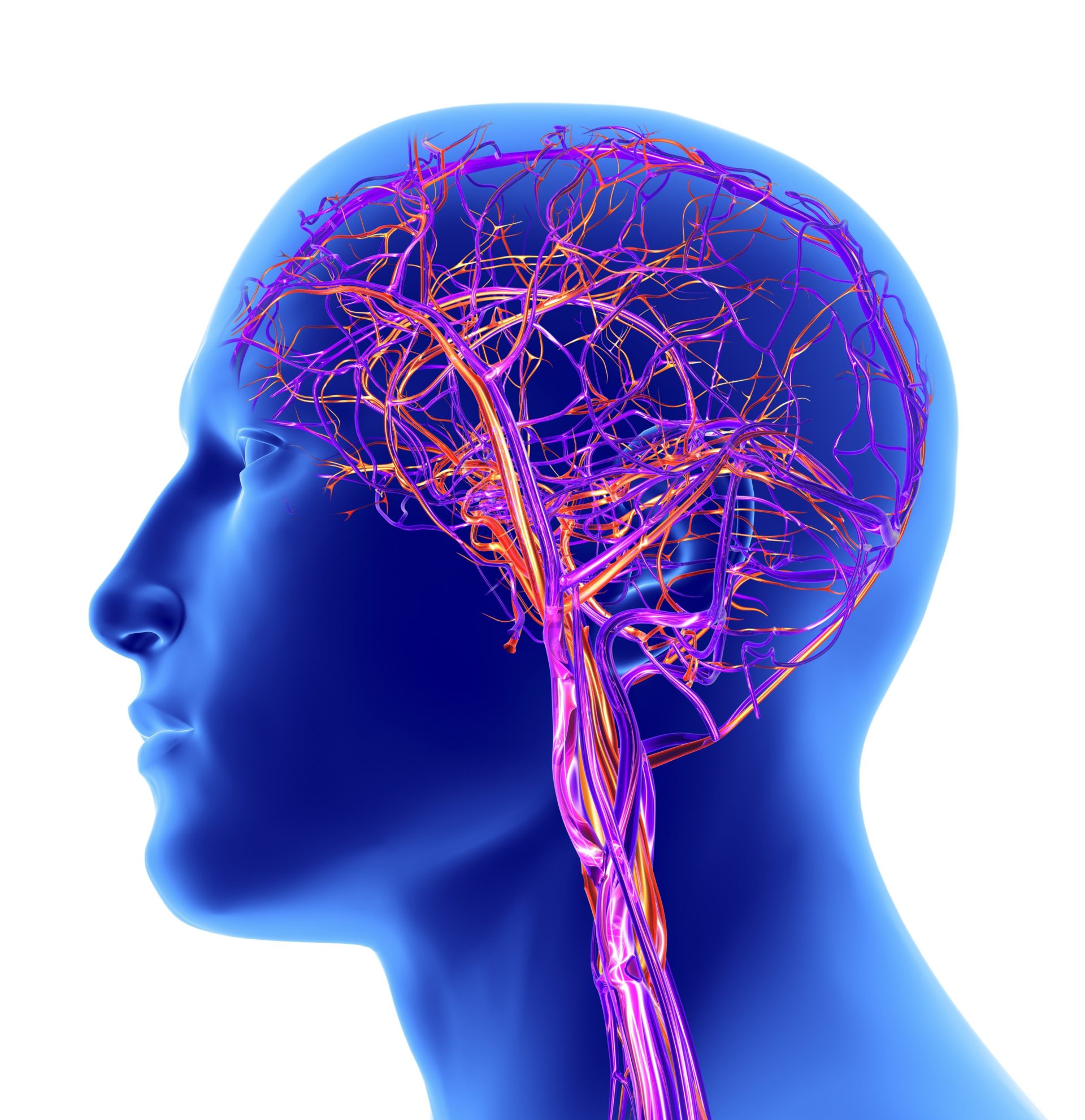 Chiropraxie: la neurologie en question (article pro ...