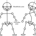 La Sacro-Occipitale Technique en Chiropractie