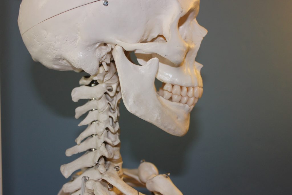 Articulation temporo-mandibulaire en chiropractie