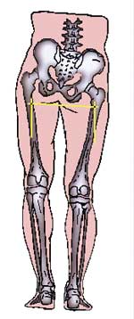 posturologie et chiropraxie