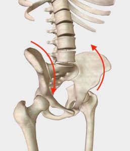 bassin en torsion - chiropratique