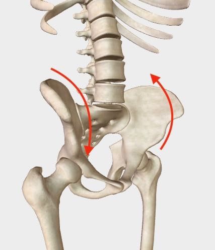 Bascule du bassin: quels traitements en chiropractie? - Dr. Peissel