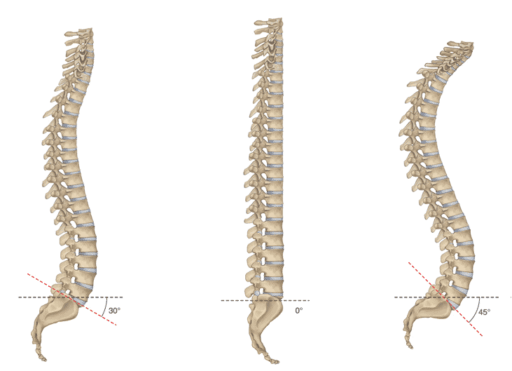 posture colonne et chiropractie