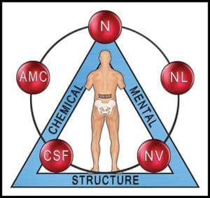 icak - kinesiologie appliquée en chiropractie- ROMAIN PEISSEL